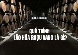 Quá trình lão hóa của rượu vang trong thùng rượu gỗ sồi như nào?