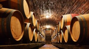 Rượu ngâm gỗ sồi bao nhiêu độ? Trong bao lâu?