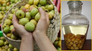 Táo mèo ngâm rượu đúng cách, dùng đúng cách rất tốt cho sức khỏe