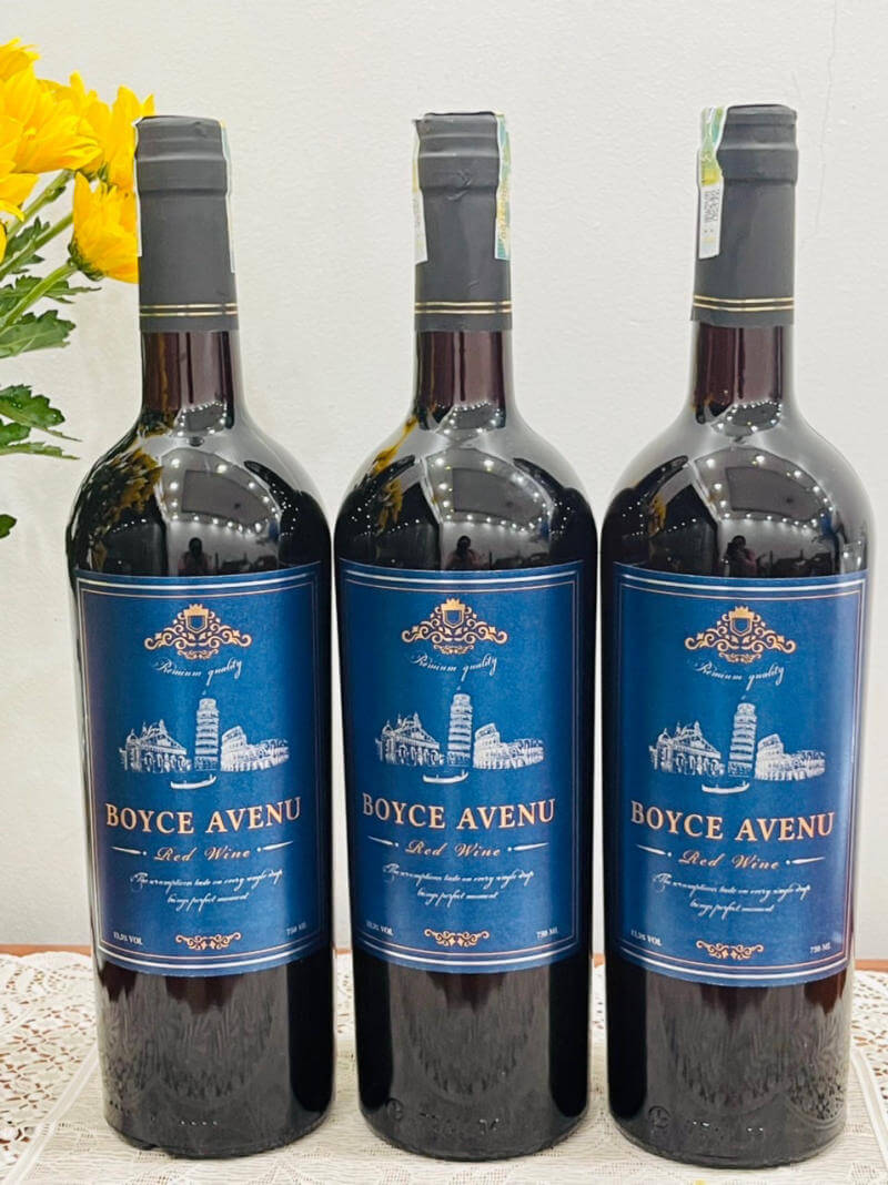 Ảnh: Hương vị nổi bật của Boyce Avenue